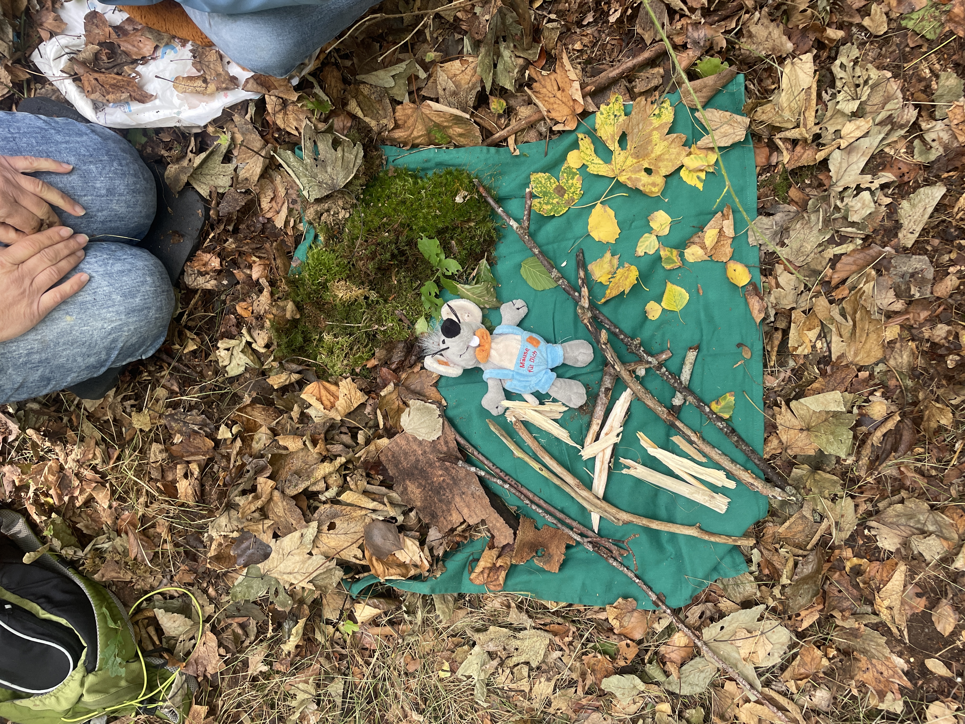 Wald 1 1b