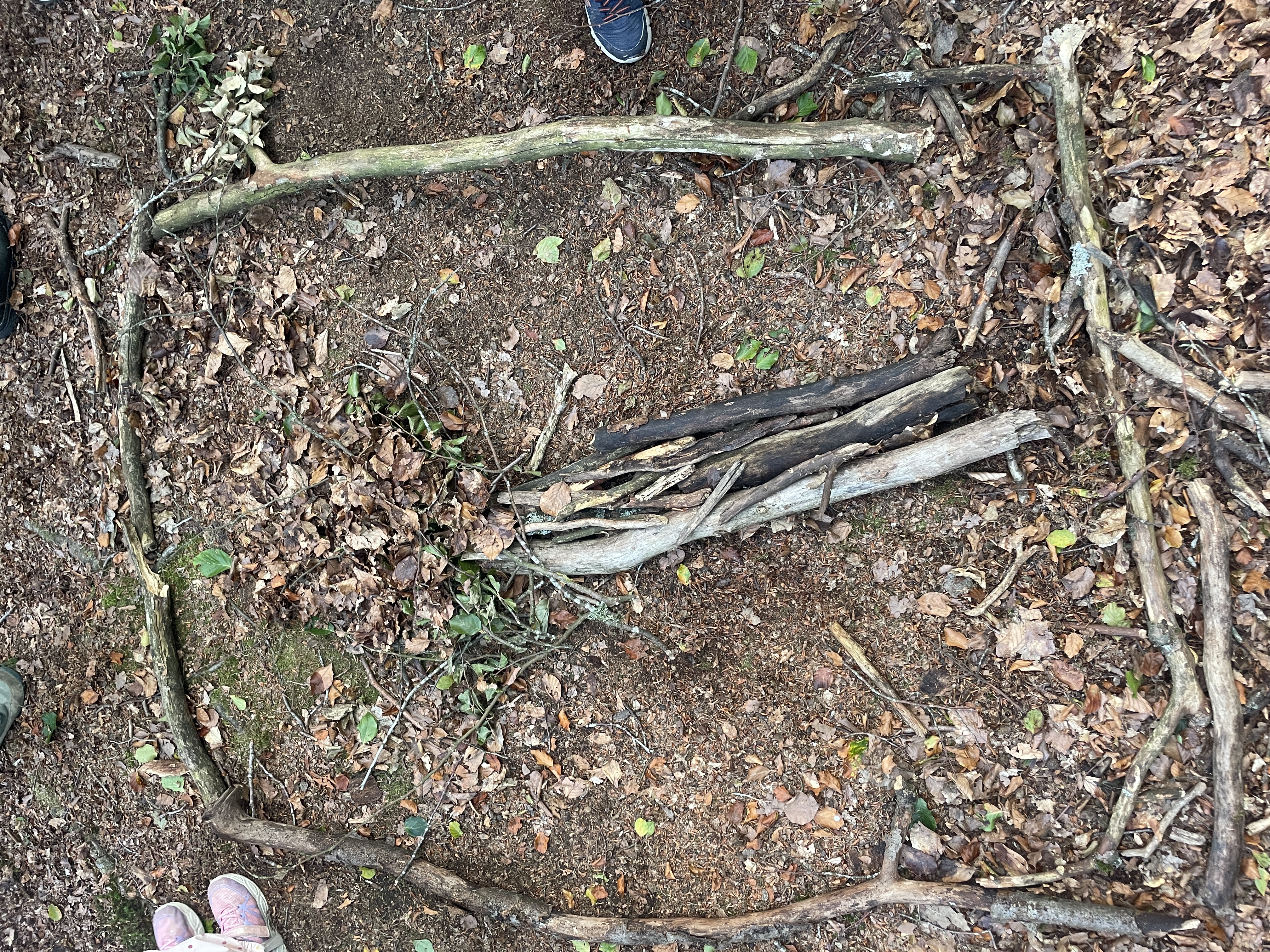 Wald 2 1b